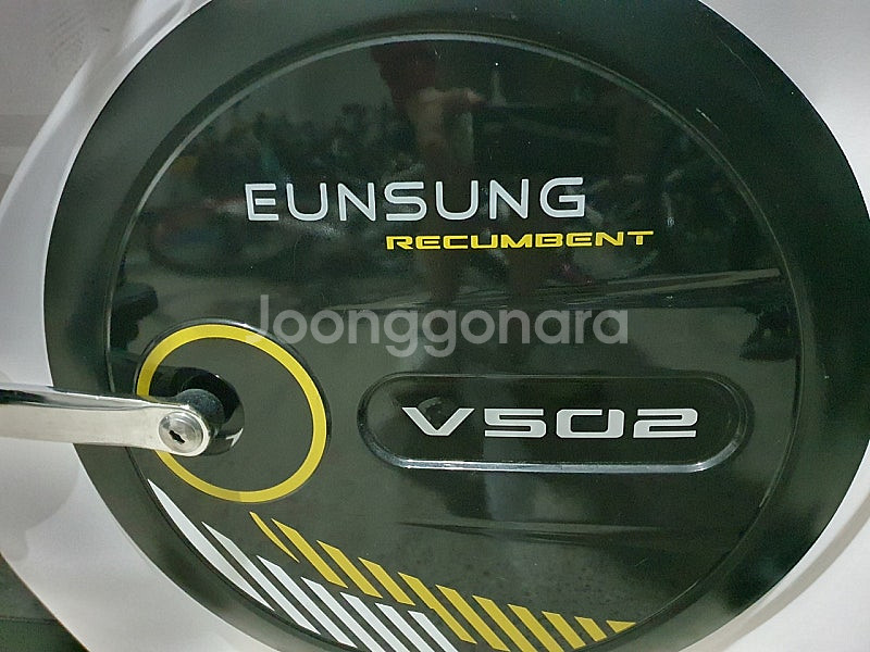 EUNSUNG 헬스싸이클 V502--5