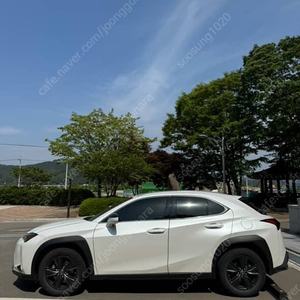 렉서스UX250h