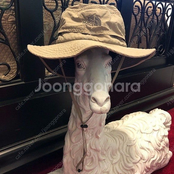 노스페이스 초레어 호라이즌햇 베이지 버킷햇 남녀공용 여...--6