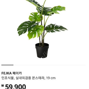 이케아 페이카 인조식물 조화 몬스테라 3만원