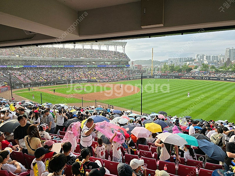 ssg 31일 사직구장 내야필드석 구합니다 (313,3...--0