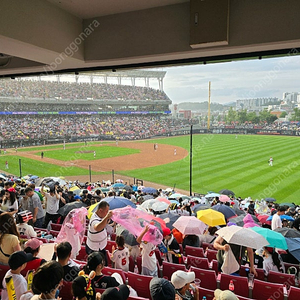 ssg 31일 사직구장 내야필드석 구합니다 (313,314)