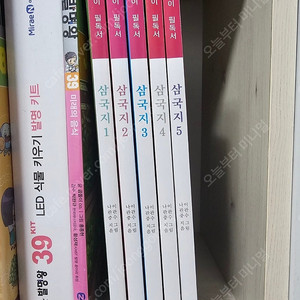 브레인고 삼국지1~5권