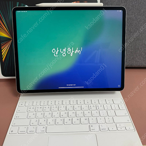 아이패드 프로 12.9 5세대 m1 256기가 셀룰러+애펜2+매키