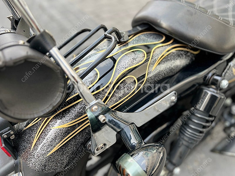 할리데이비슨 아이언883--6