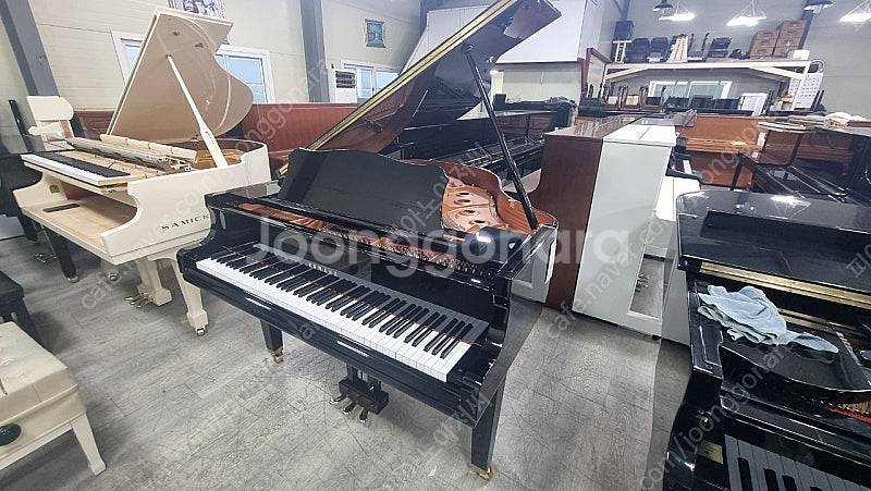 2022년제품야마하베이비그랜드피아노 GC-1--0