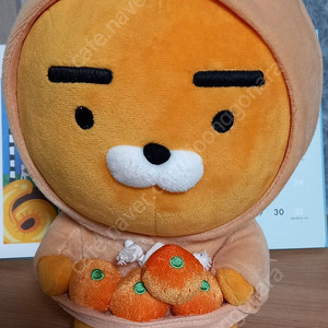 제주도 에디션 라이언