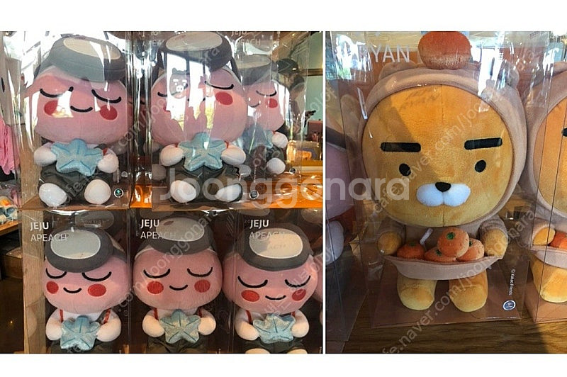 제주도 에디션 라이언--2