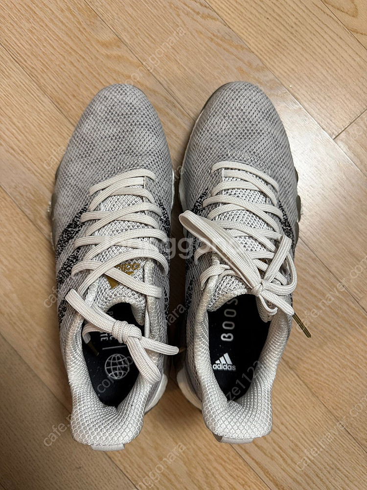 아디다스 골프화 코드케이오스22 250--1