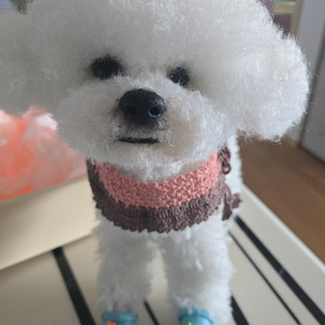 비숑 프리제 양모인형 팝니다