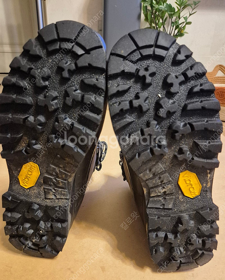 Lowa 티벳 gtx 중등산화 245mm--3