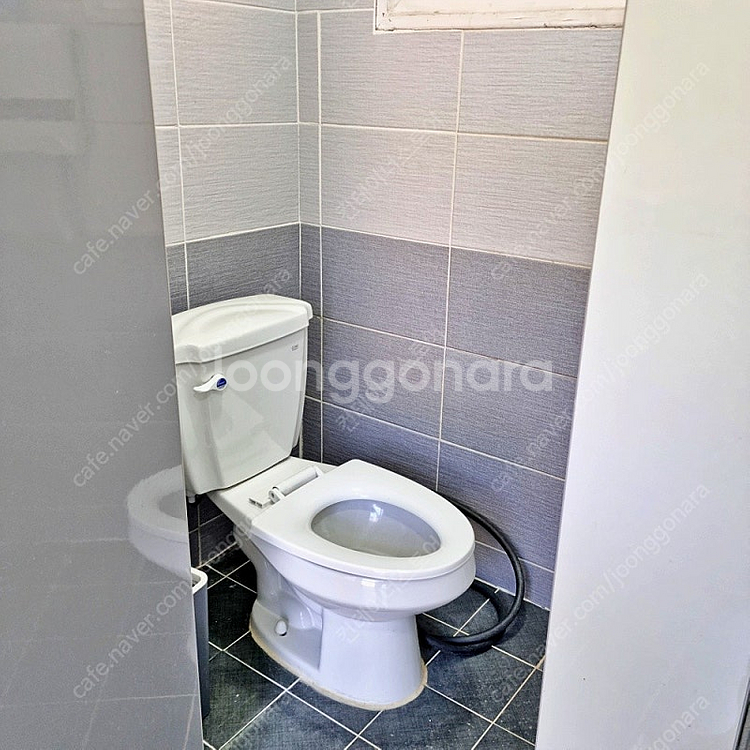 [내일 아침 9시 상차 가능] 고양시 신원동 특가 컨테이너 급매!--5