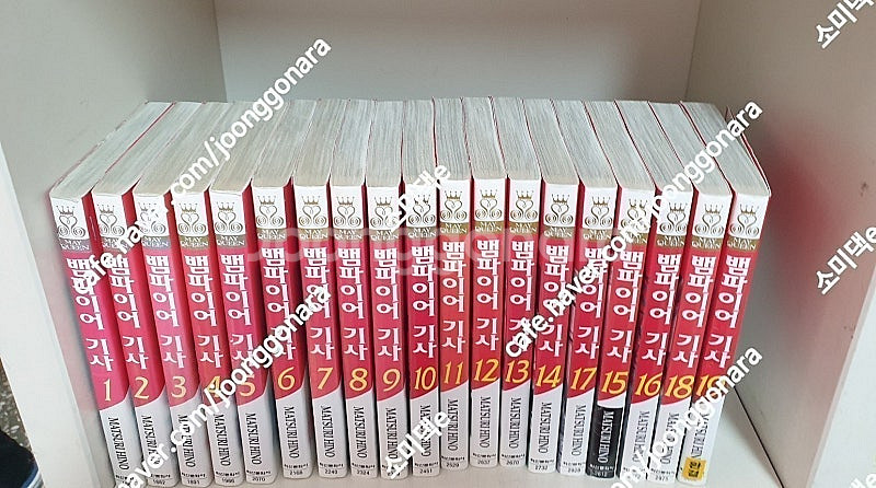 만화] 어떤 마술의 금서목록 전18권 / 뱀파이어기사 ...--2