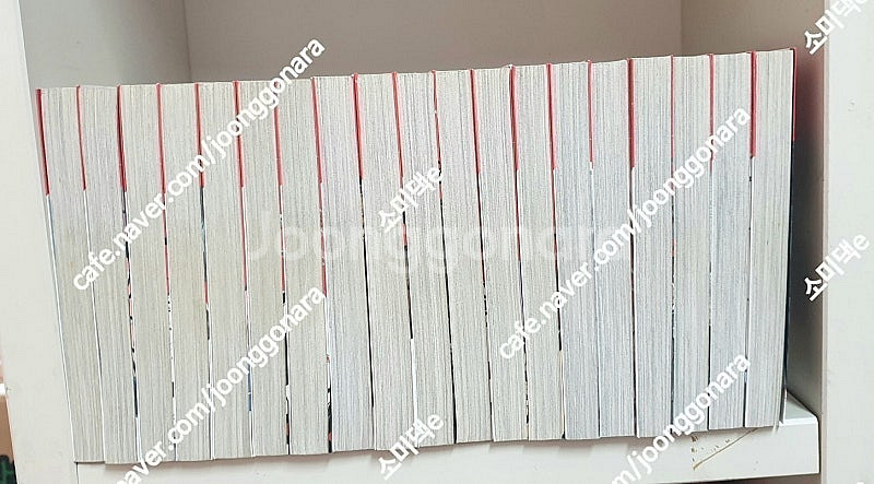 만화] 어떤 마술의 금서목록 전18권 / 뱀파이어기사 ...--3