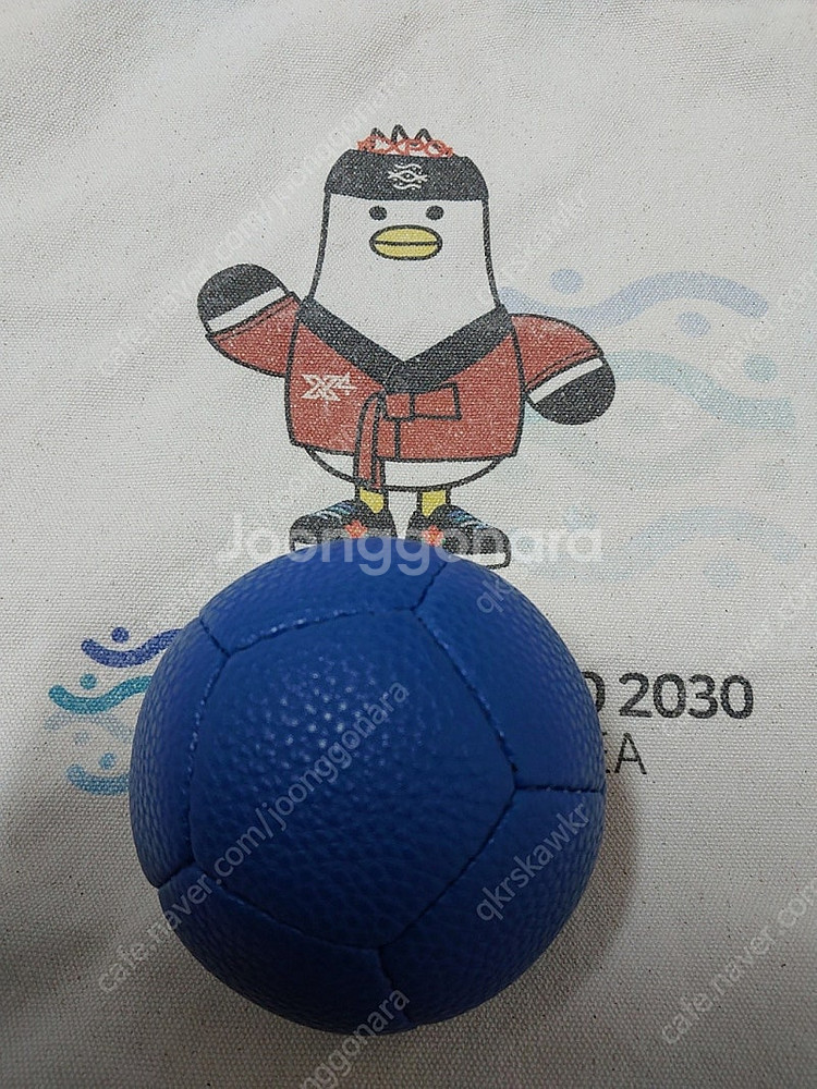 보치아공 리스포츠 파랑,인조가죽,미디움--1