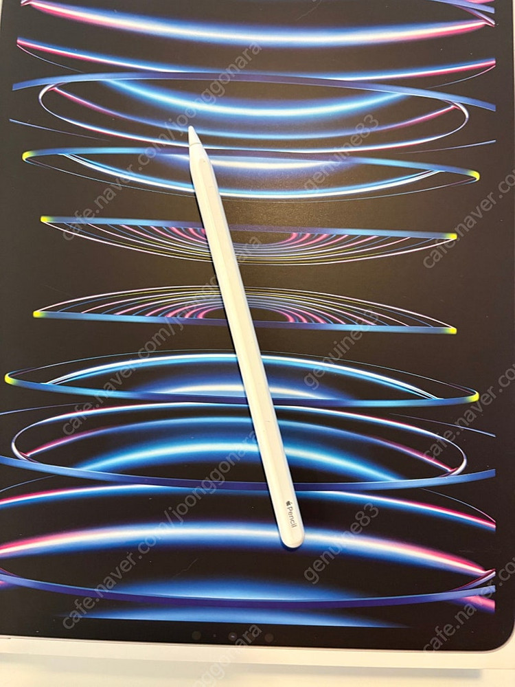 아이패드 프로 12.9 6세대 M2 256gb wifi 실버 S급 + 애플펜슬 2세대 정품--9