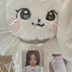 2025년 아이브 미니브 팝업 체리 인형+포카