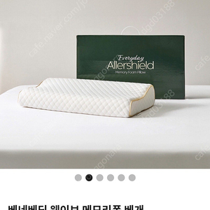 Allershield 베네베딩 배게 팝니다