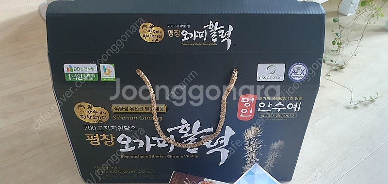 명인 안수예 평창 오가피활력 오가피즙 팝니다--1