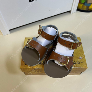 솔트워터 키즈 서퍼 5 벨크로 타입 새상품