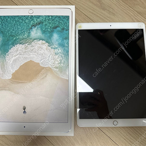 아이패드 프로 10.5 1세대 256g LTE + 애플펜슬 1세대 팝니다.