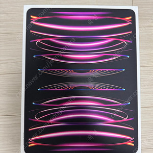 아이패드 프로 12.9인치 6세대 M2