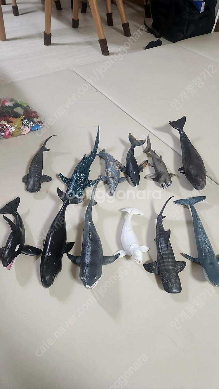컬렉타 공룡 바다생물피규어팝니다--3