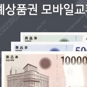 신세계모바일상품권(30만원)