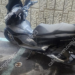 pcx125 20년식 11000~12000키로 팝니다