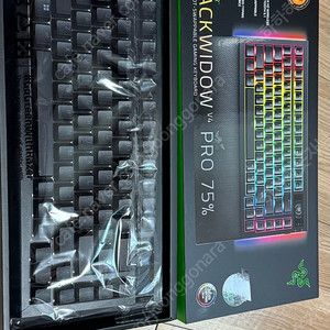 레이저 블랙위도우v4pro 75