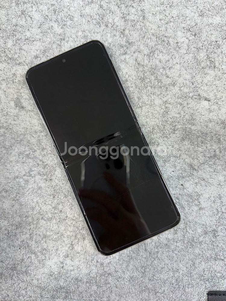 (무잔상)갤럭시Z플립5 민트 256G 가성비 공기계 검...--2