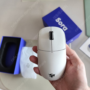 닌젓소 소라 v1 화이트
