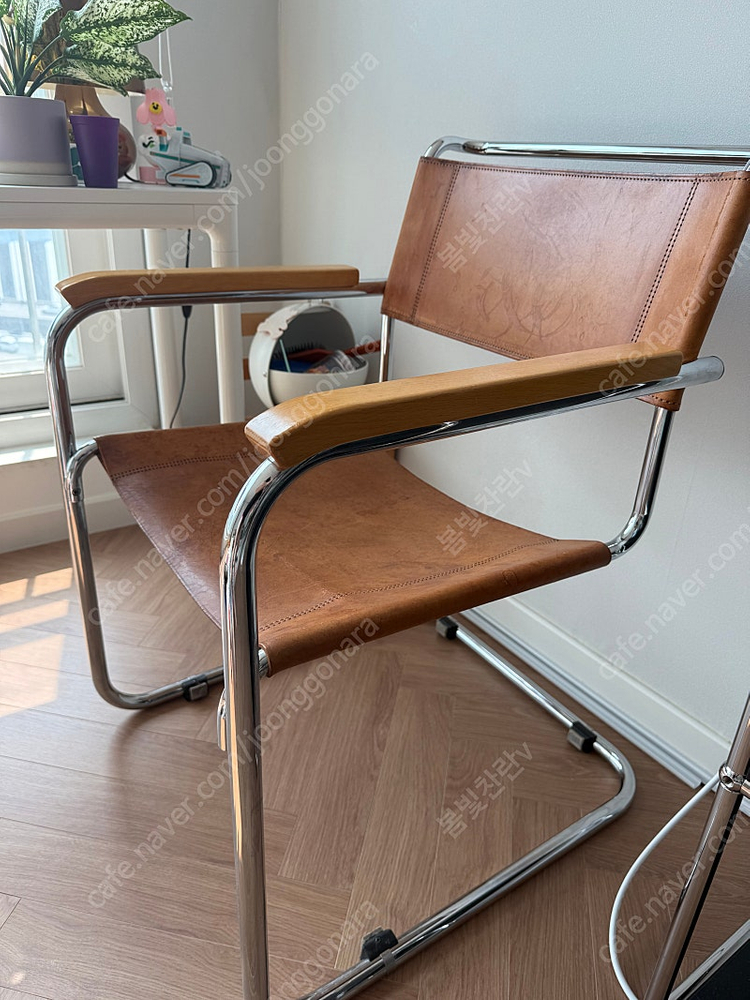 Thonet s34 가죽 암체어 이미지