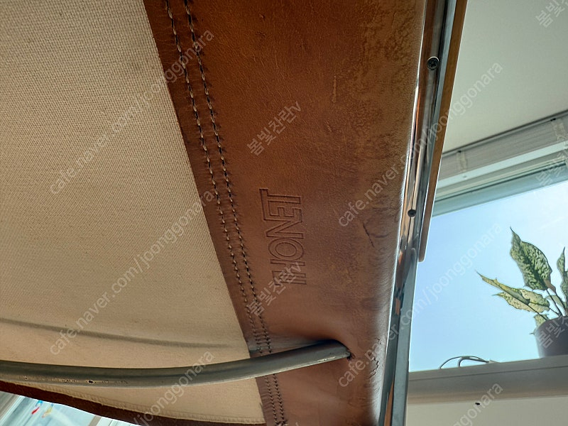 Thonet s34 가죽 암체어 이미지