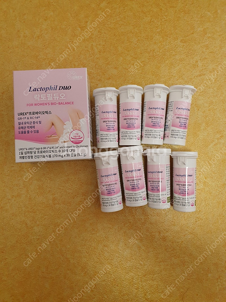 락토필듀오 판매합니다--0