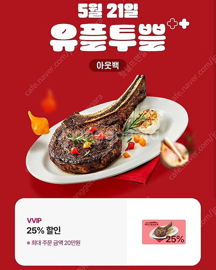 아웃백 VVIP 25% 할인권--0
