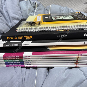 전기치트키 타우