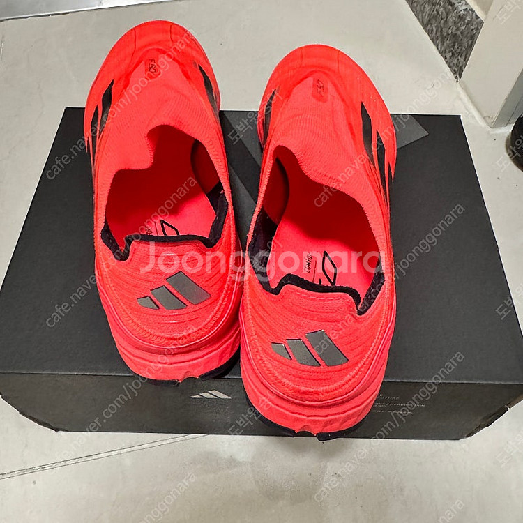 아디다스 F50 pro tf ll--3