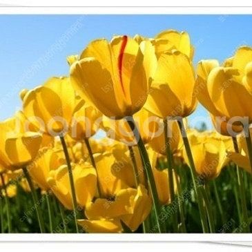 cu 롯데카드로 6천원 이상 결제시 5천원 할인권--0