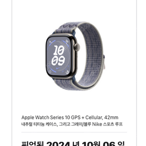 애플워치10 티타늄 내추럴 42mm 애케플o 그레이/블루 나이키 스포츠루프