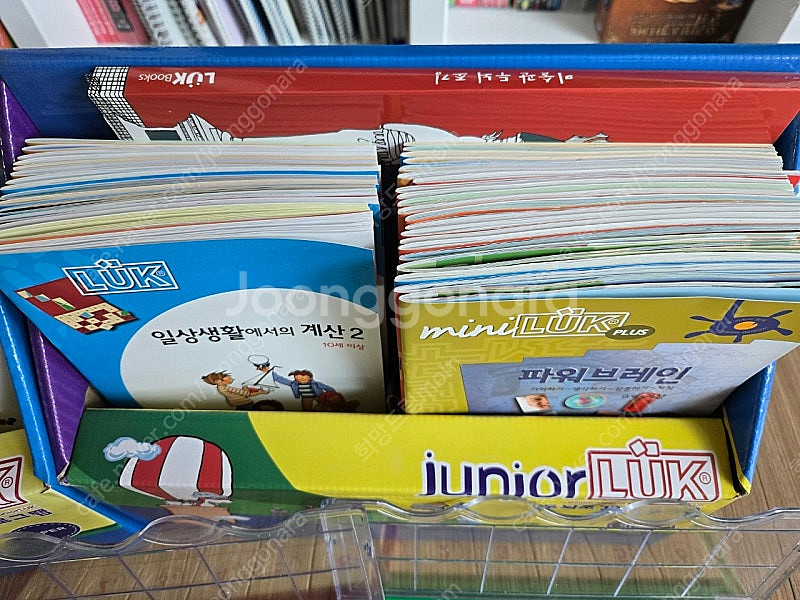 주니어루크( 키트2개씩 총4개)최상--2