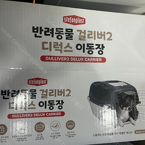 반려동물 걸리버2 이동장 캐리어