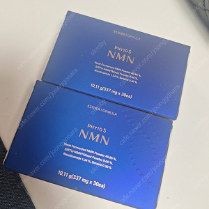 여에스더 NMN 파이토에스 5X