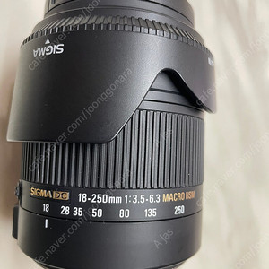 18 -250 시그마 렌즈