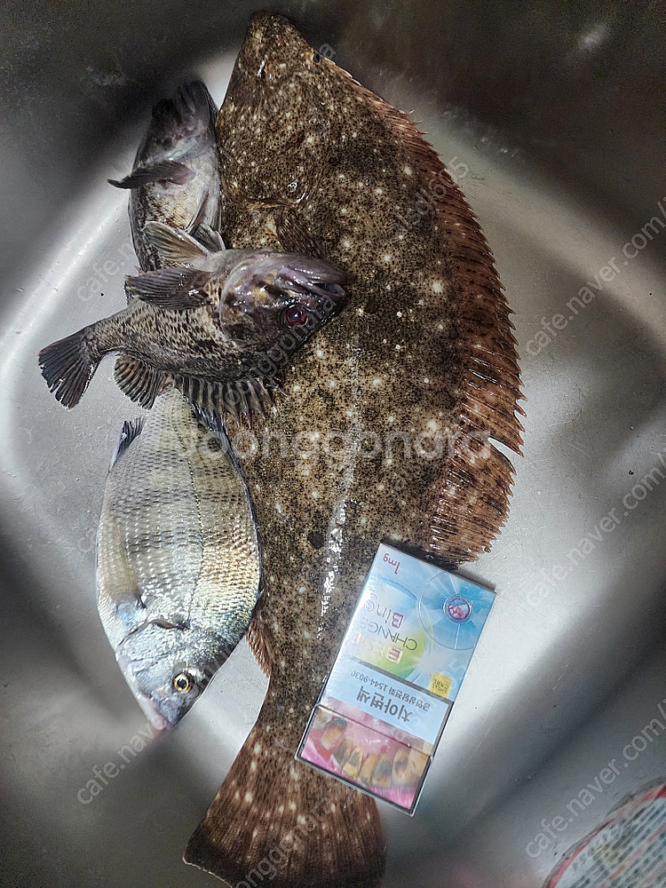 선외기 15마력 머큐리 330고무 보트--2