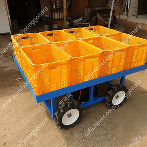 무선 조종 전동 운반차 4륜 1000W 모터 24v 100A