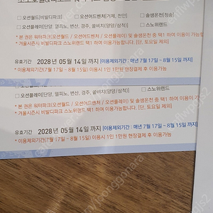 소노호텔&리조트 워터파크 입장권 오션월드 비발디파크 로블 바우처