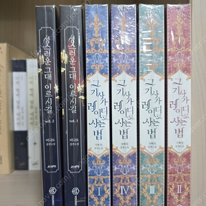 로맨스소설 랩핑 (그 기사가 레이디로 사는 법)