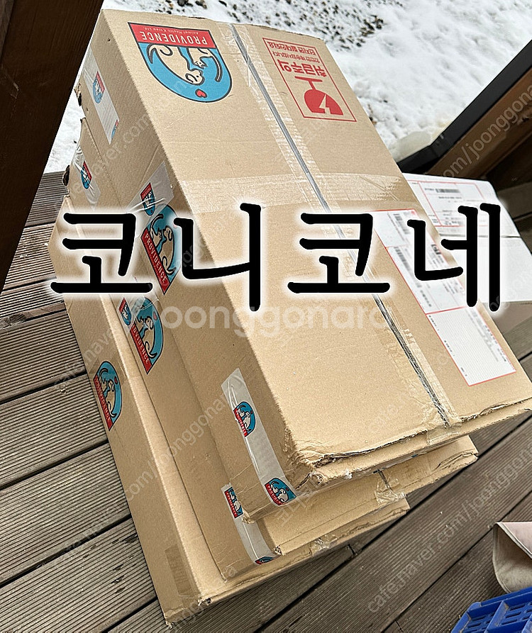 파미나 강아지사료 N&D Dog그레인프리 펌프킨 닭고기--3