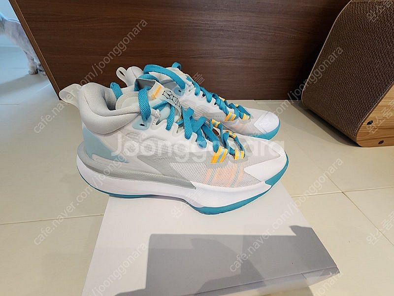 [255]나이키 자이언1--0